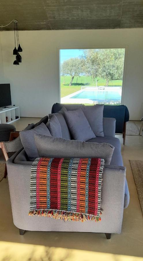 Santa Vitória Casa Do Roxo - Eco Design Country House المظهر الخارجي الصورة