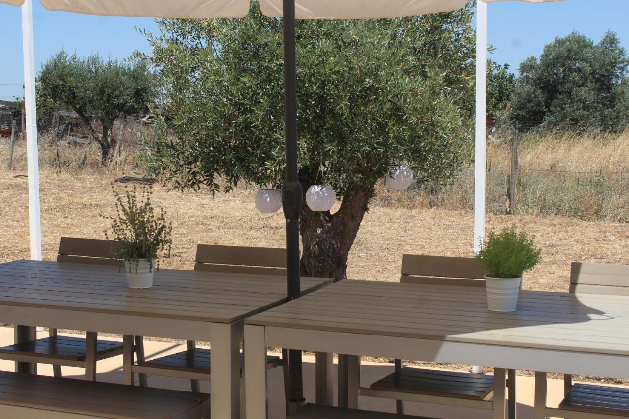 Santa Vitória Casa Do Roxo - Eco Design Country House المظهر الخارجي الصورة