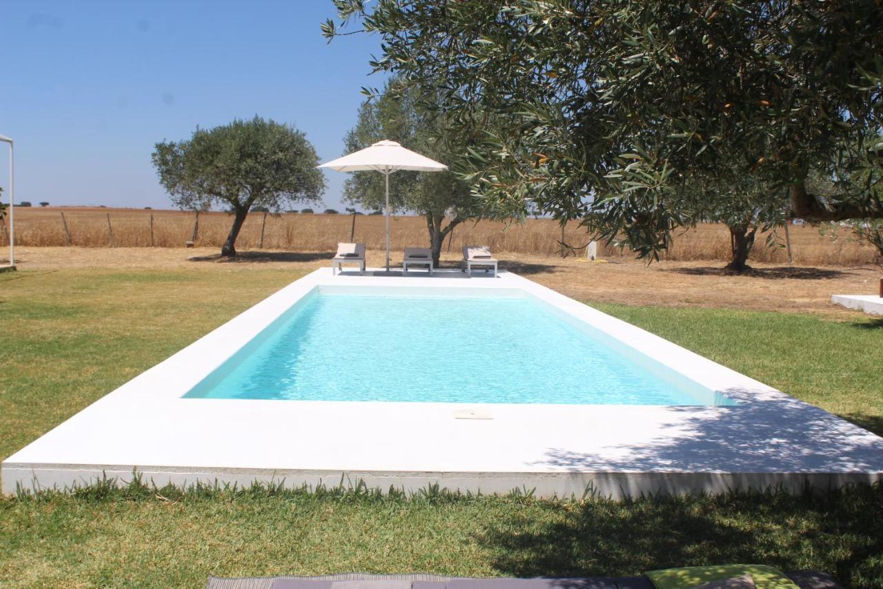 Santa Vitória Casa Do Roxo - Eco Design Country House المظهر الخارجي الصورة