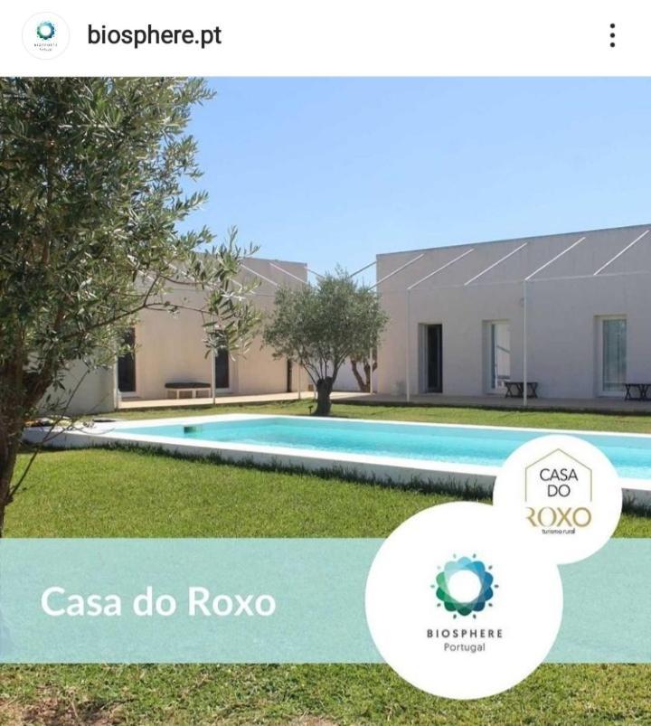 Santa Vitória Casa Do Roxo - Eco Design Country House المظهر الخارجي الصورة